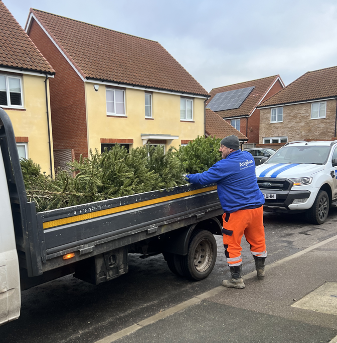 Anglian supporting East Anglia’s Children’s Hospices’ (EACH) Christmas tree recycling scheme in Norfolk